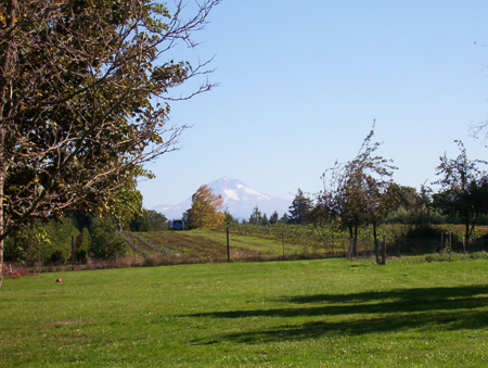 Mount Hood