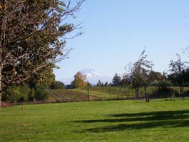 Mount Hood